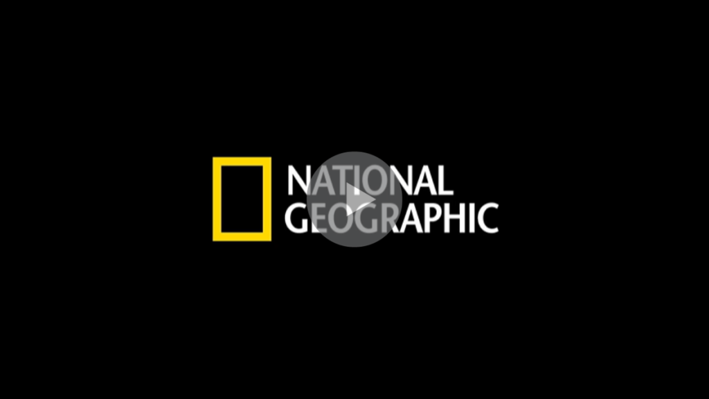 NATIONAL GEOGRAPHIC EN VIVO